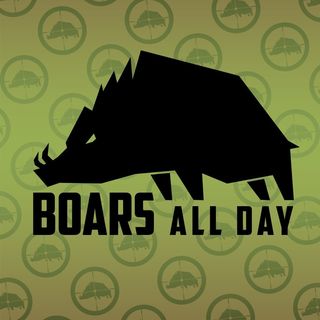 Wild Boar, Feral Swine, Texas Hog Hunting At Its Best - Boars All Day