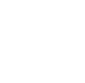 BAD Boars Eye